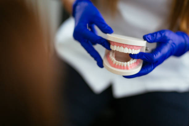 Best General Dentistry  in Colstrip, MT