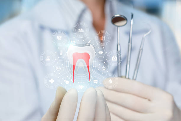 Best Traditional Braces  in Colstrip, MT
